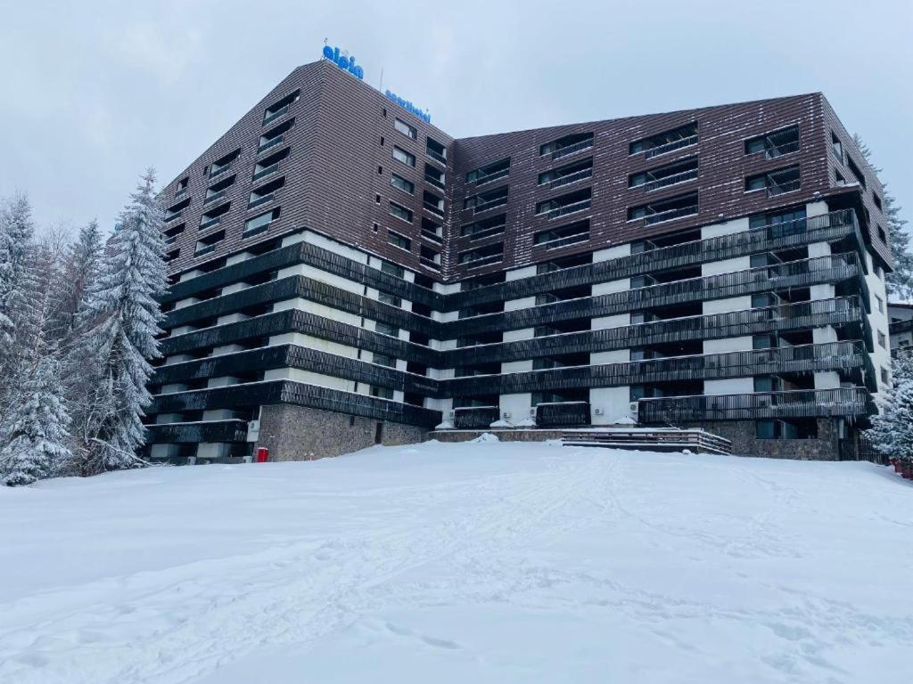 Alpin Resort Hotel - Apartamentele 2403-2404- Proprietate Administrata De Gazda Privata Poiana Brasov Eksteriør bilde